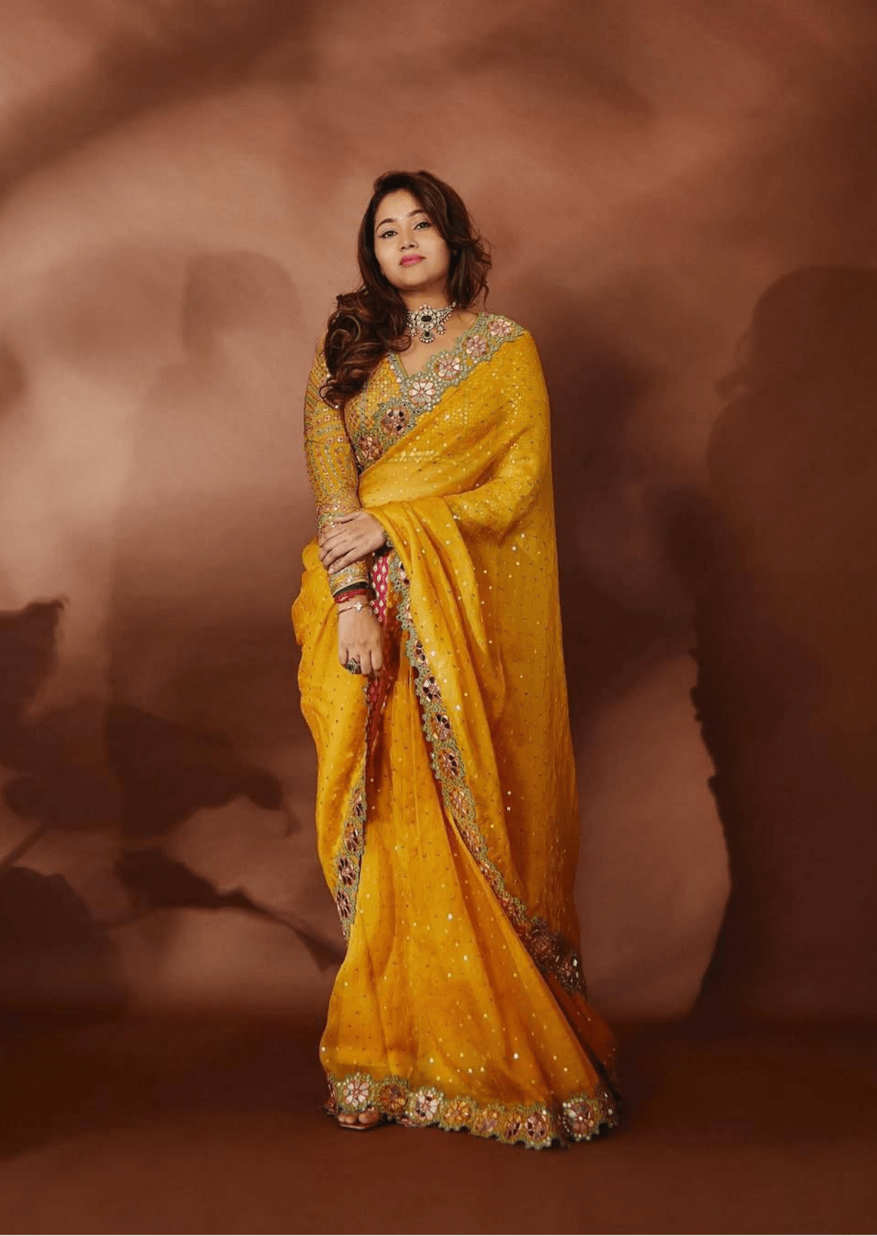 Meher Floral Border Mirror Work Saree-1
